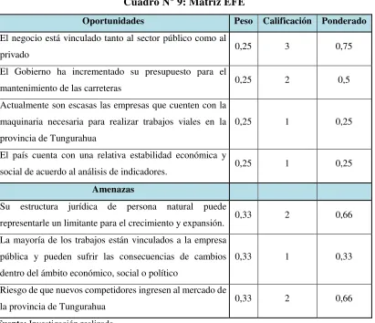 Cuadro N° 9: Matriz EFE 