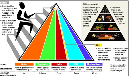 Figura 1.1 Izq: Pirámide Alimenticia (USA Ariculture Department 2005) ;               
