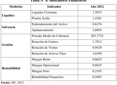 Tabla N° 8: Indicadores Financieros 