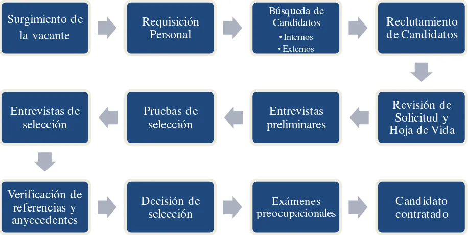 Figura 3. Proceso de reclutamiento y selección. 