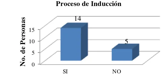 Figura 15: Proceso de Inducción 