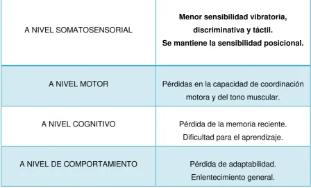 Tabla 2: Listado de los cambios funcionales del SNC 