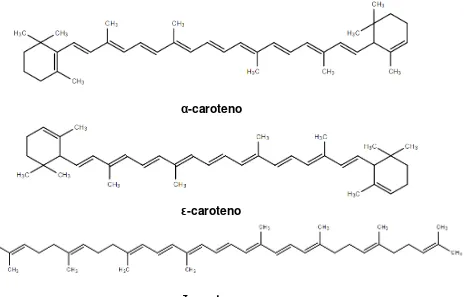 Figura 10 Estructura química de los carotenos alfa, épsilon y zeta. 