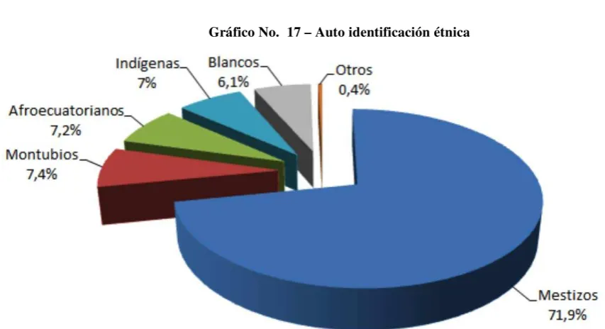 Tabla No. 5 – Auto identificación étnica  