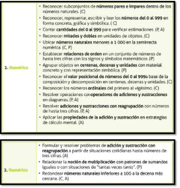 Tabla 2. Malla Tercero de Básica. 