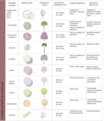 Cuadro de especies vegetales utilizadas   