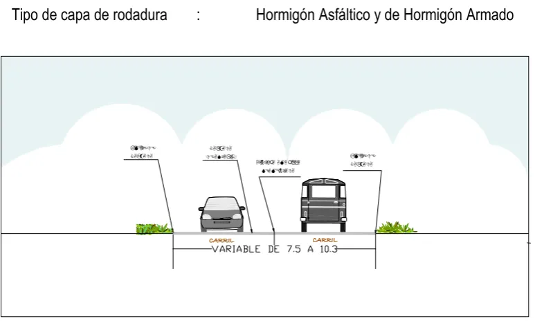 Fig 1.2. Sección Típica Actual 