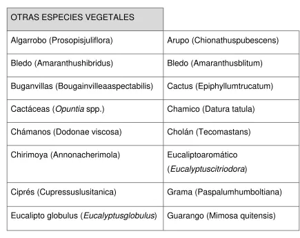 Tabla 3: Especies vegetales 