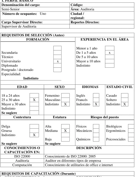 Tabla 11 Competencias Semi-Senior Auditoria 
