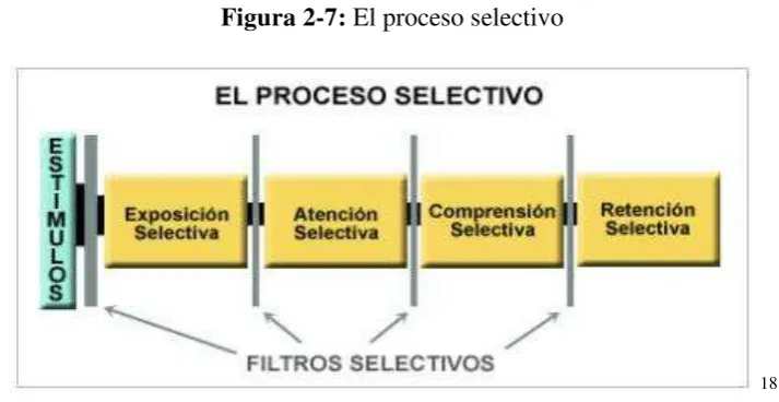 Figura 2-7: El proceso selectivo 