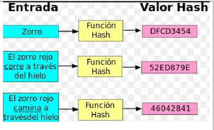 Figura 1- 6. Algoritmo HASH1 (Fercufer, 2011) 