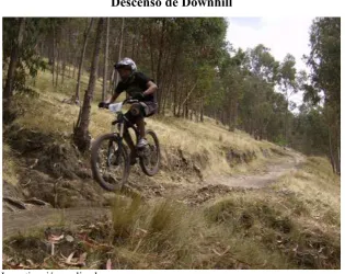 Figura No. 2 