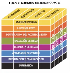 Figura 1: Estructura del módulo COSO II 