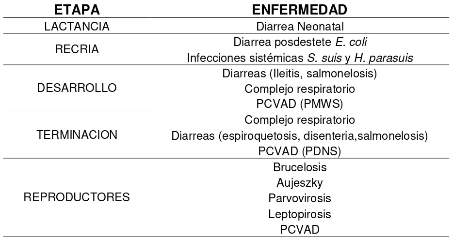 Tabla 5.  Enfermedades infecciosas del cerdo por etapas de desarrollo 