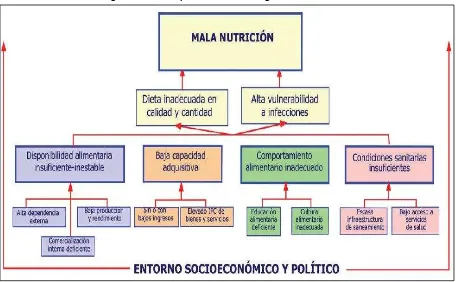 Figura 2: Árbol de problemas de la inseguridad alimentaria 