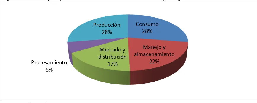 Figura 5. Pérdidas y desperdicios de alimentos en América Latina por segmento de la cadena alimentaria 