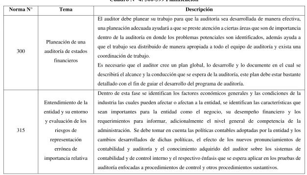 Cuadro N° 4: 300-399 Planificación 