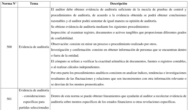 Cuadro N° 6: 500-599 Evidencia de Auditoría 