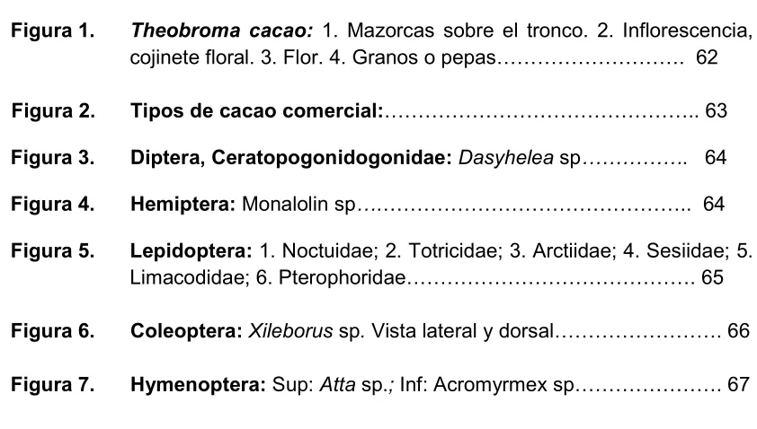 Figura 1.  