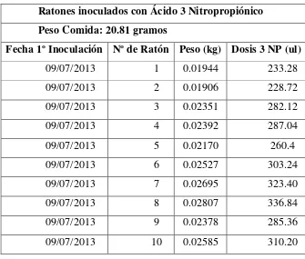 Tabla Nº 1: 1º Inoculación  con Ácido 3 Nitropropiónico 