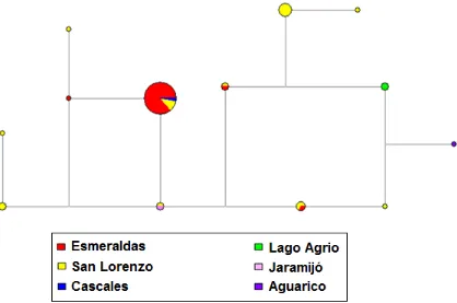 Figura 11. Red de relaciones genéticas entre P. falciparum ecuatorianos. Red realizada 