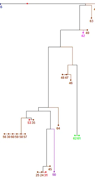 Figura 12. Árbol del vecino más cercano entre muestras de las provincias de Esmeraldas, 