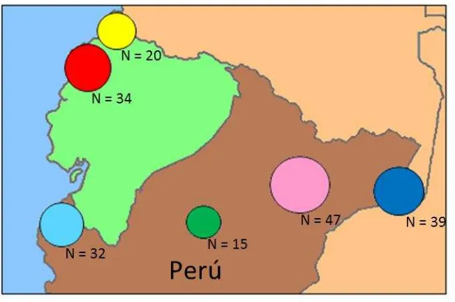 Figura 14. Mapa distribución de las muestras de P. falciparum en Ecuador y Perú. El 