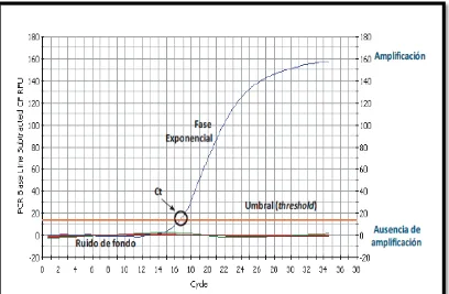 Figura 4. Curva de Amplificación para detección y cuantificación de PCR en 