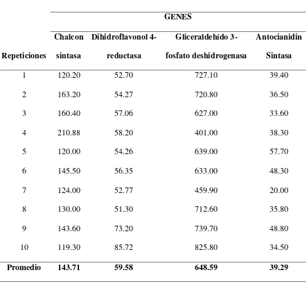 Tabla 2. Concentraciones (ng/uL) de cDNA de la población de V. floribundum de 