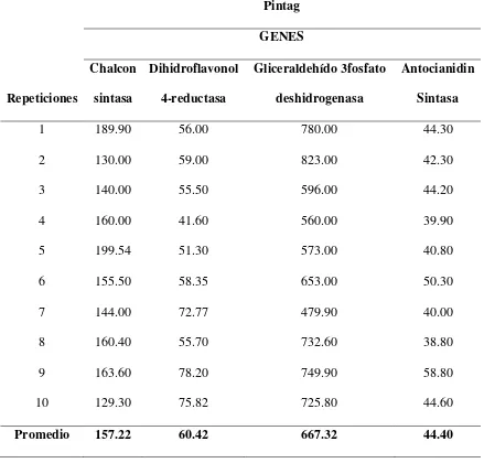 Tabla 3. Concentraciones (ng/uL) de cDNA de la población de Pintag de V. floribundum de 