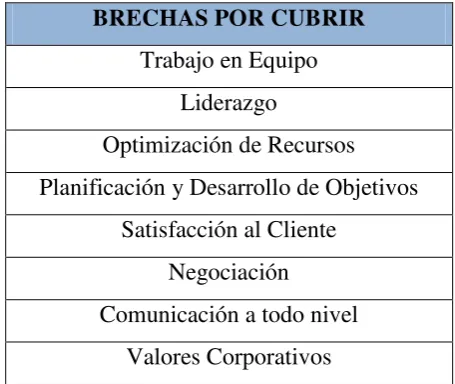 Tabla 8: Matriz de Brechas 