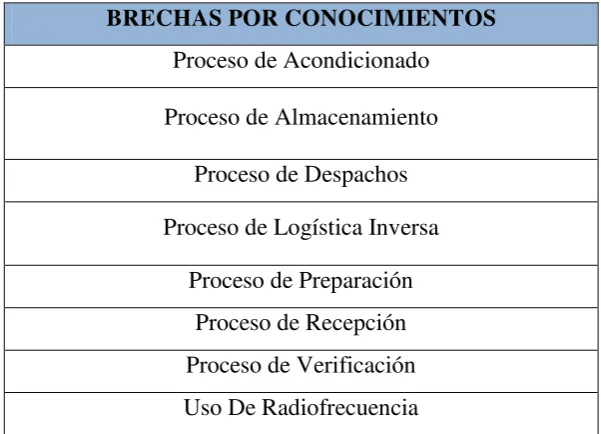 Tabla 10: Brechas por conocimientos