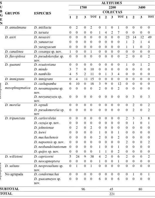 Tabla 1.- Número de individuos del género Drosophila por altitudes y colectas. 