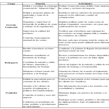 Tabla 3: Resumen de Funciones y Actividades 