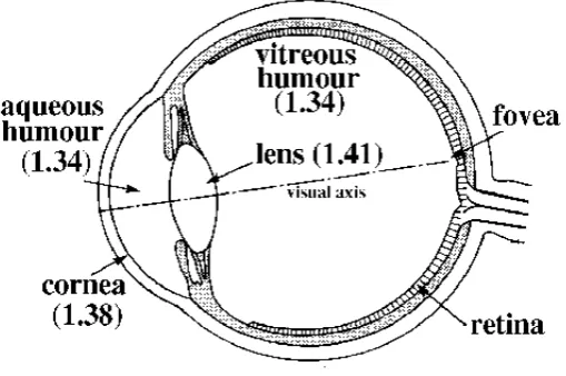 Figura 4 Índices de refracción 