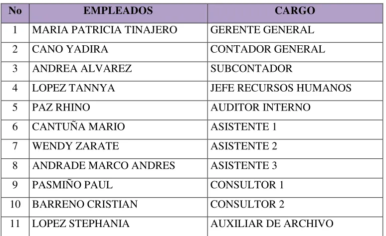 Cuadro 5: Distribución funcional de los empleados 