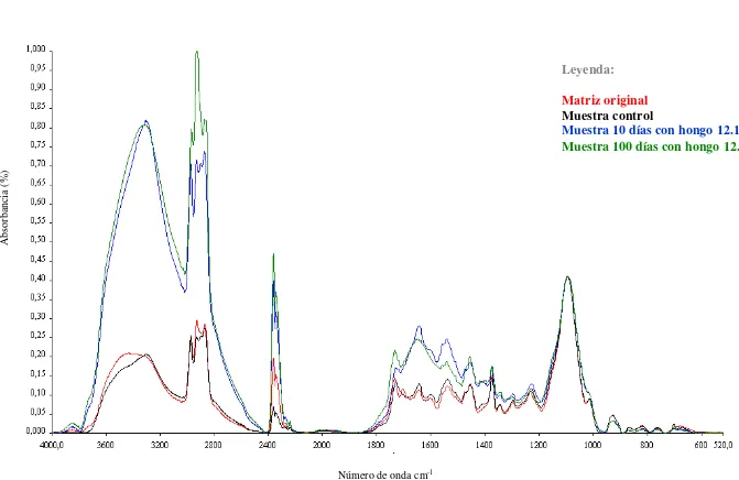 Figura 2: Espectros IR de la matriz original (rojo), muestra control (negro) y muestras de poliuretano sometidas a la especie 12.1 por diez (azul) y cien días (verde) 