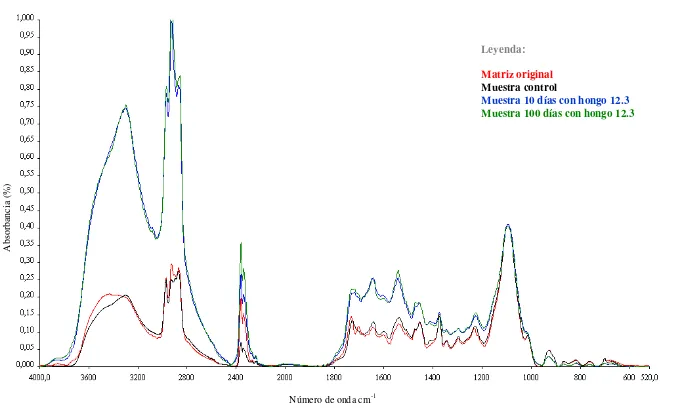 Figura 3: Espectros IR de la matriz original (rojo), muestra control (negro) y muestras de poliuretano sometidas a la especie 12.3 por diez (azul) y cien días (verde) 