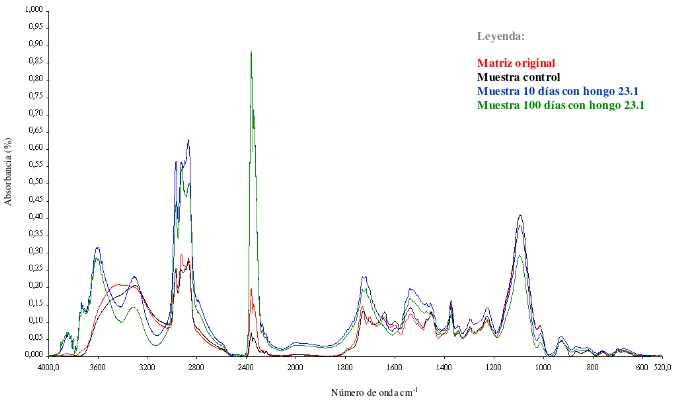 Figura 5: Espectros IR de la matriz original (rojo), muestra control (negro) y muestras de poliuretano sometidas a la cepa 23.1 por diez (azul) y cien días (verde)