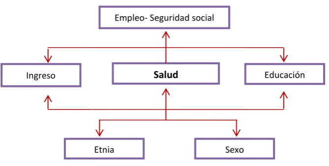 Figura 5. Determinantes de la salud 