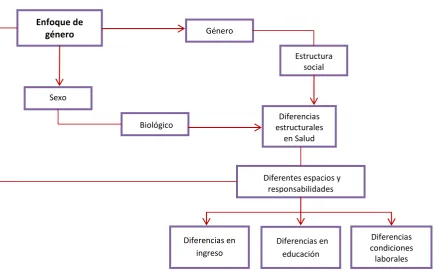 Figura 8. El enfoque de género en salud 