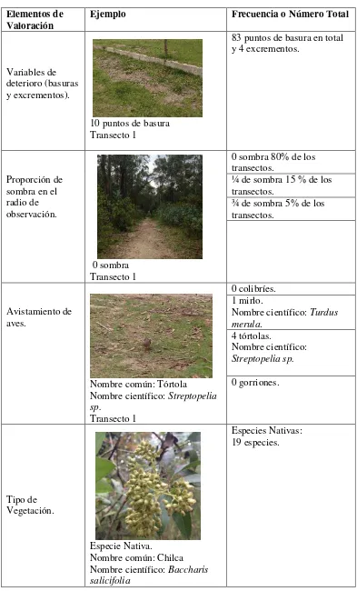 Tabla 8. Frecuencia de elementos de valoración parque Guangüiltagua 