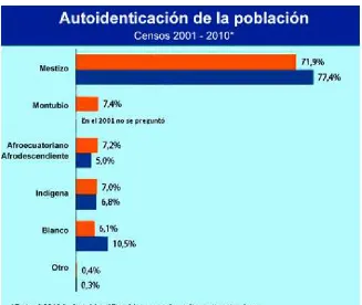 Figura 3: Autoidentificación de la Población 
