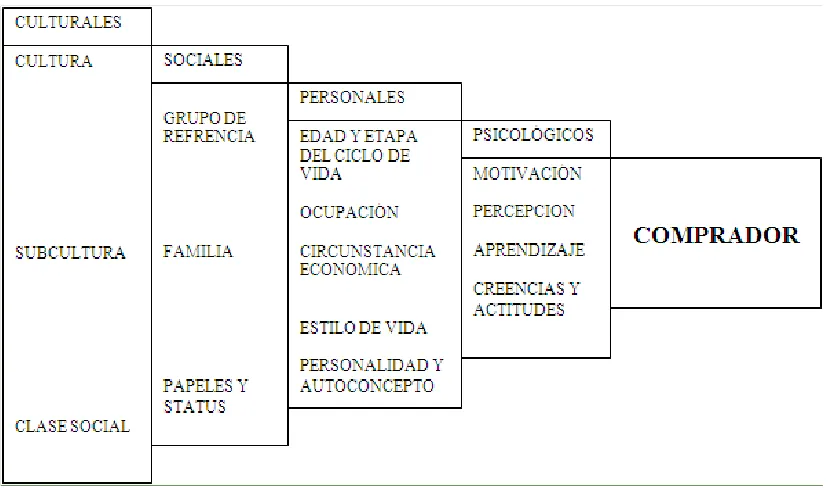 Figura 12: Segmentación de Mercados 