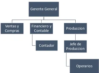 Figura 1: Organigrama de la empresa “Divina” 