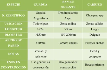 Tabla 1. Características d Especies de Bambú en el Ecuador 