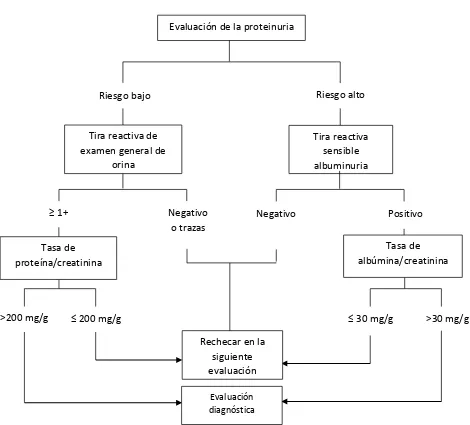 Figura 3. Algoritmo para la evaluación de proteinuria – Guías KDOQI 