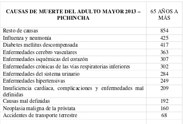 Cuadro 8. Muertes de adultos mayores en Quito 2013. 