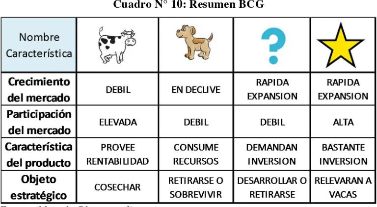 Cuadro N° 10: Resumen BCG 