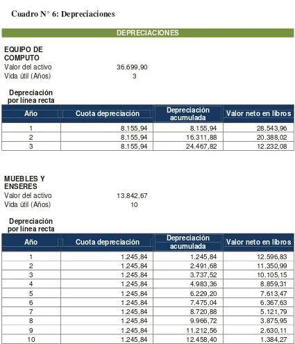 Cuadro N° 6: Depreciaciones 